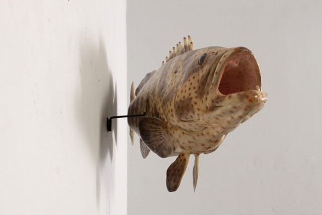 갈색 둥근바리 물고기 모형 피규어 조형물 107cm