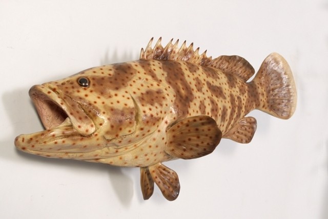 갈색 둥근바리 물고기 모형 피규어 조형물 107cm